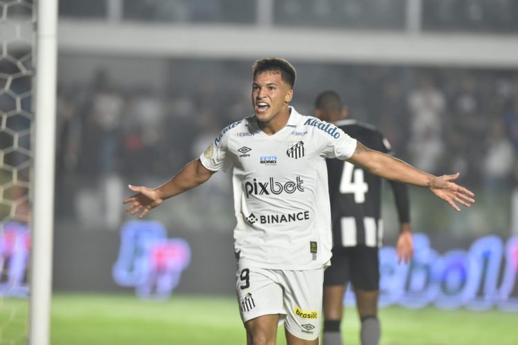 Santos sofre, mas vence o Botafogo na Vila Belmiro com Lisca na torcida