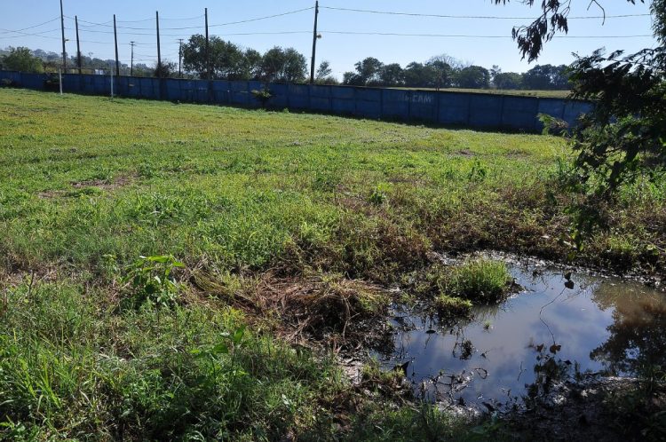 Descarte irregular de água compromete gramado  do campo de futebol no Distrito de Graciosa