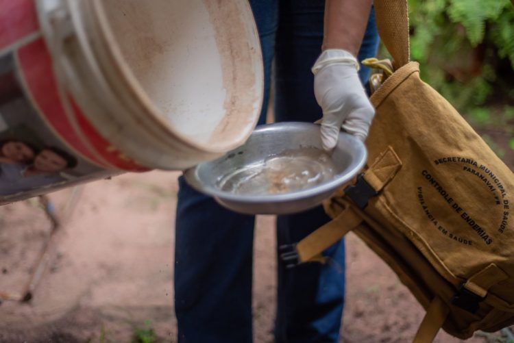 Novo levantamento mostra médio risco para a doença