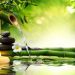 Simbologia do Reiki e o Bambu – 7 Lições