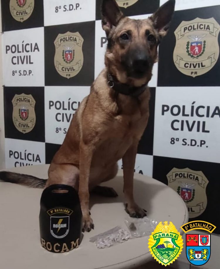 Operação Retomada: PM apreende 49 porções de crack no Jardim Ipê