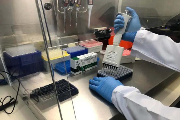 Pesquisadores da UEL recrutam voluntários  para estudo sobre perda de olfato pós-Covid-19