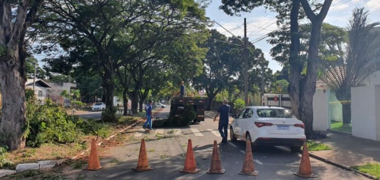 Município inicia instalação de luminárias de led na Avenida JK