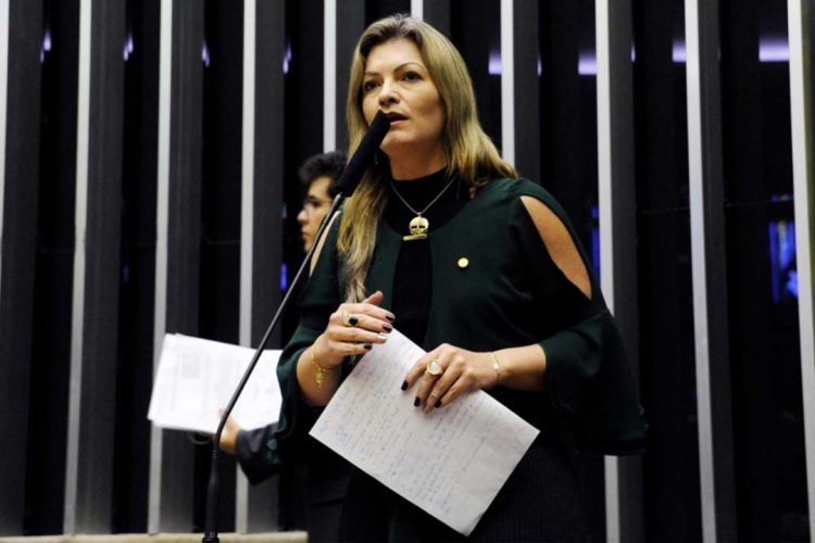 Prefeitos debatem questões ambientais e conversam com deputada Aline Sleutjes