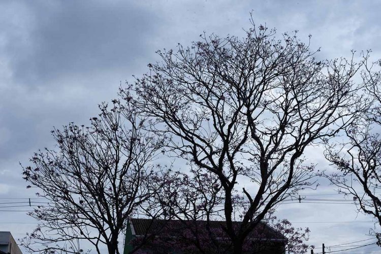 Nebulosidade predomina nos próximos dias em Paranavaí