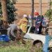 Motorista perde controle e bate em árvore na PR-455