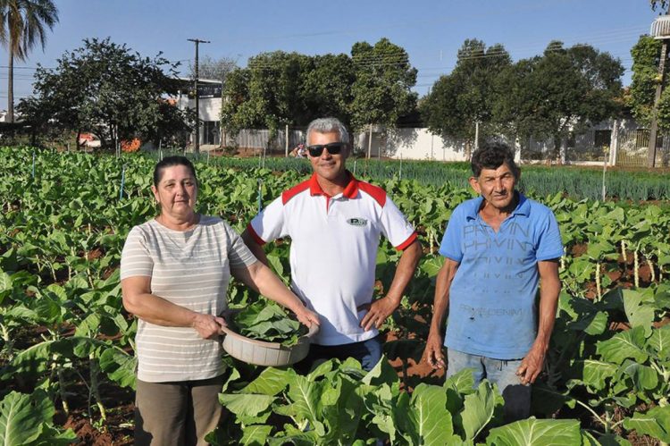 O segredo da vida na horta