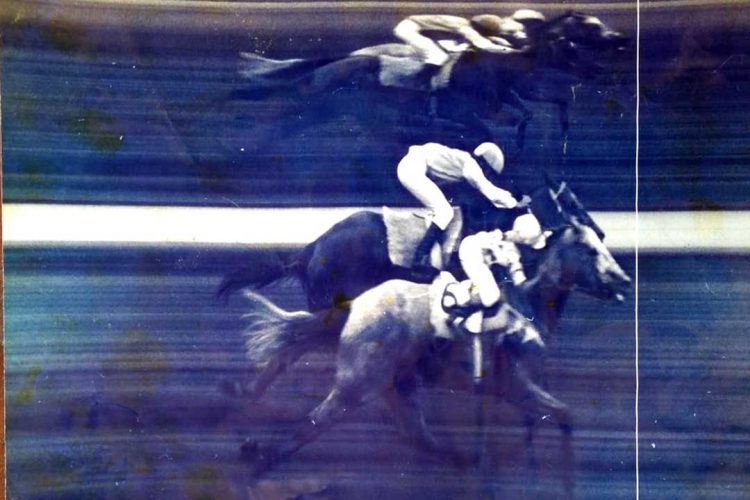 A importância das fotos para a humanidade