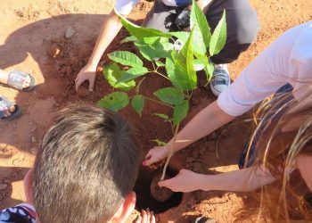 Município implementa ‘’Projeto Arborizando Sanza”