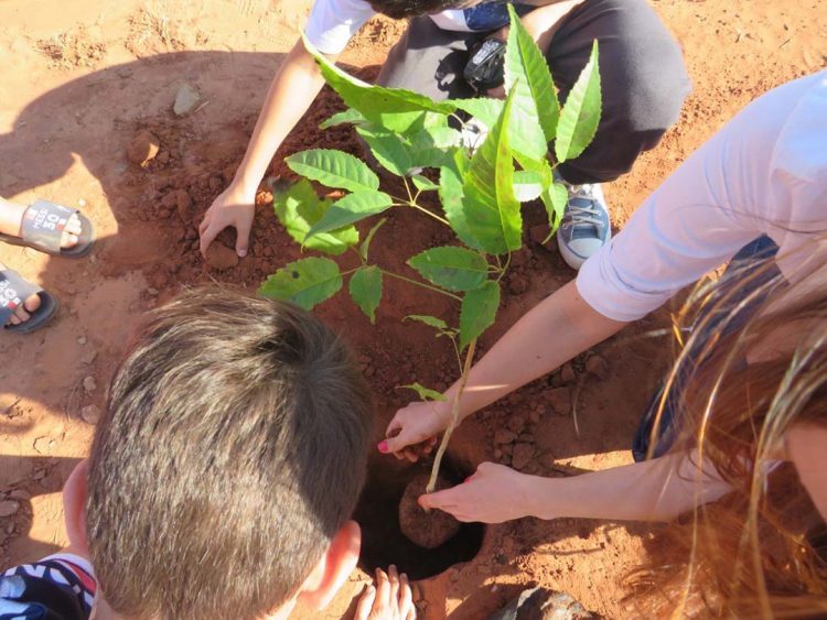 Município implementa ‘’Projeto Arborizando Sanza”