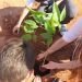 Município implementa ‘’Projeto Arborizando Sanza”