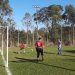 Definidos os primeiros semifinalistas da Categoria Coringas