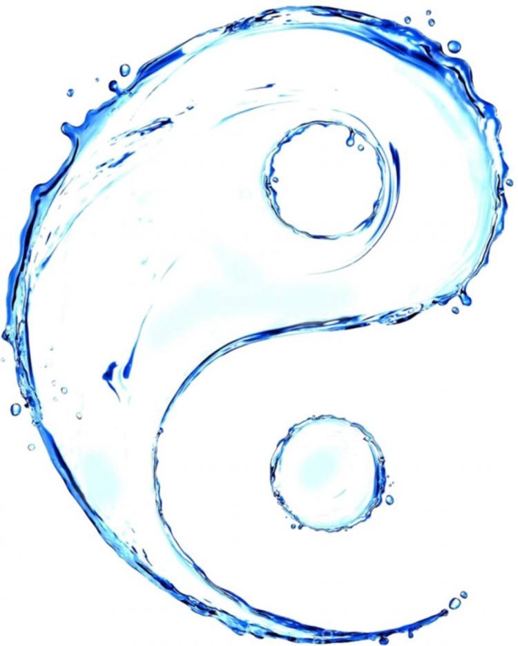 INVERNO – FRIO Compreendendo através da Medicina Veterinária Tradicional Chinesa