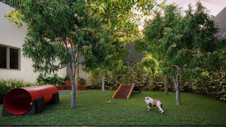 Espaço para pets ganha peso na escolha da casa própria