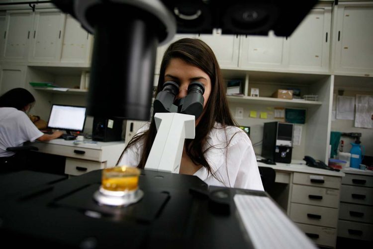 Programa de Pós-Graduação da UEM  alcança a inédita nota máxima 7 da Capes