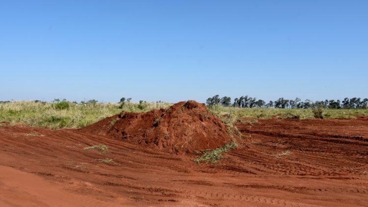Vereador requer informações sobre retirada de terra do Aeroporto Edu Chaves