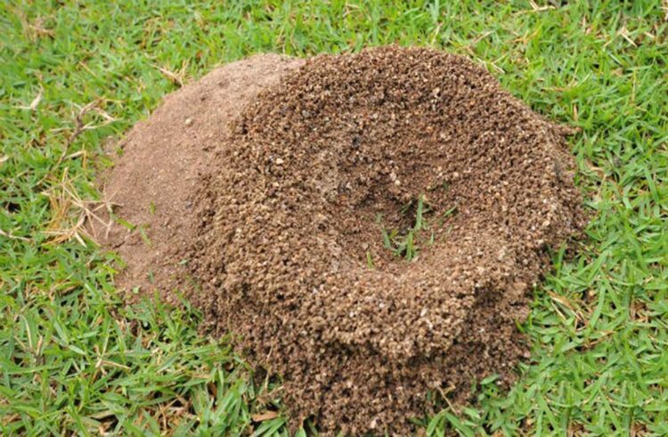 Propostas de Encontro Técnico são encaminhadas às autoridades