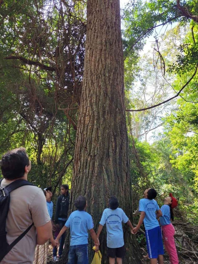 Município realiza atividades de campo com alunos de Santa Cruz de Monte Castelo