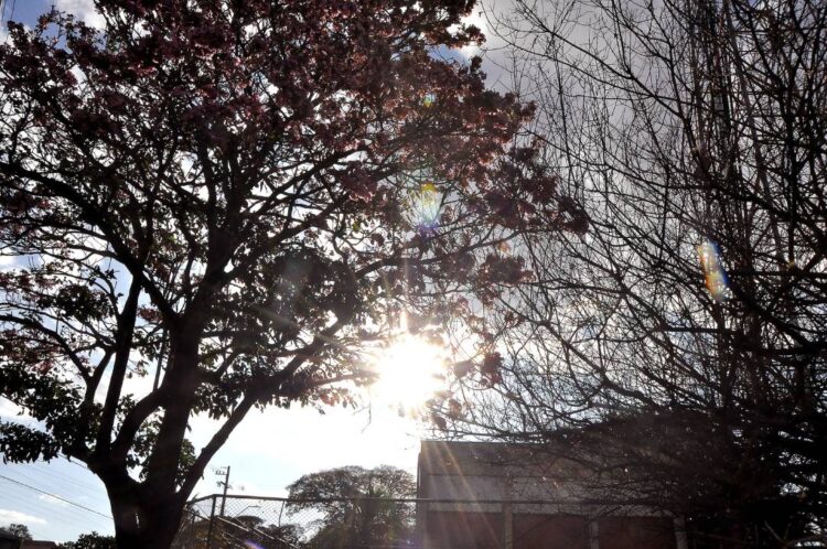Tempo permanece estável neste sábado,  mas volta a chover em Paranavaí no domingo