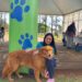 Mais de 1.400 animais devem ser atendidos nesta semana pelo CastraPet Paraná