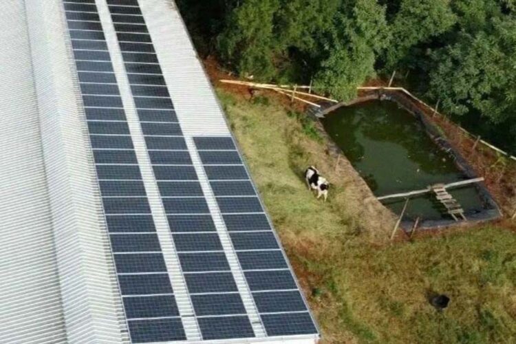 Programa do Governo já acatou 4.539 projetos de energia renovável em propriedades rurais