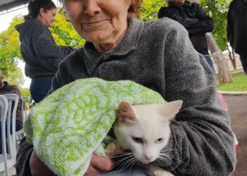 Programa Castrapet castrou mais de 100  animais entre cães e gatos no município