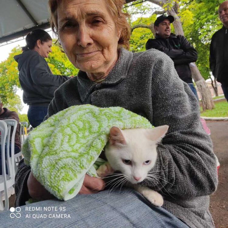 Programa Castrapet castrou mais de 100  animais entre cães e gatos no município