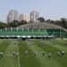 Palmeiras pode ser campeão brasileiro em três rodadas