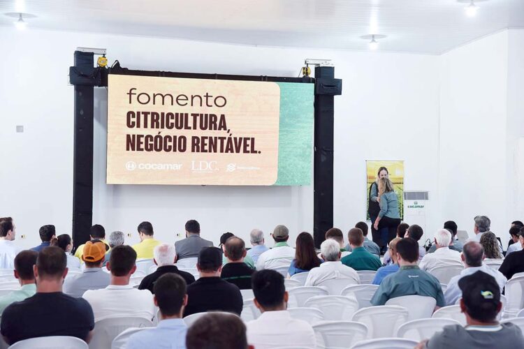Campanha de fortalecimento da citricultura  garante linhas de crédito para investimento e custeio