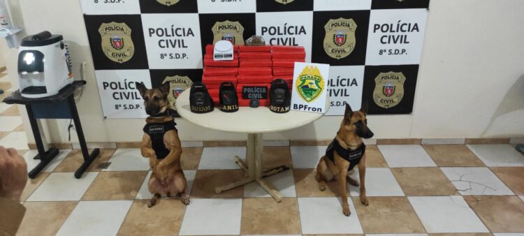 PM e PC apreendem 77,55 quilos de maconha em Paranavaí