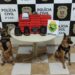 PM e PC apreendem 77,55 quilos de maconha em Paranavaí