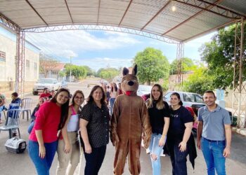 CastraPet esterilizou 86 animais de estimação no município