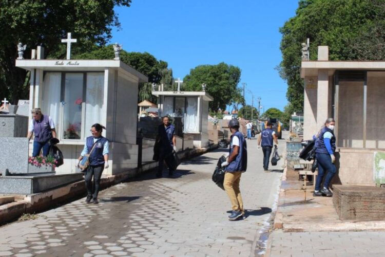 Vigilância encontra mais de 50 focos de larvas da dengue em período de uma hora durante arrastão no Cemitério Central