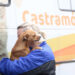 CastraPet Paraná vai atender nove municípios em todo Estado nesta semana