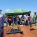 IDR-PR e Prefeitura de Terra Rica promovem  dia de campo sobre cultura de abacaxi