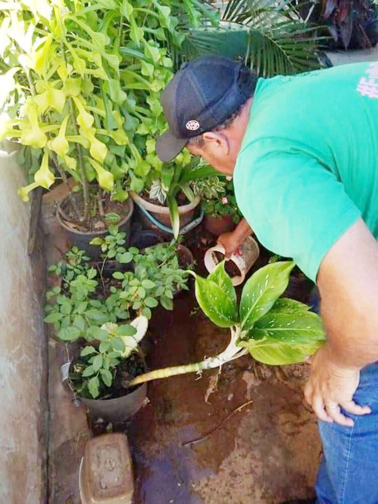 Prefeitura está contratando trabalhadores  para atuarem no combate à dengue