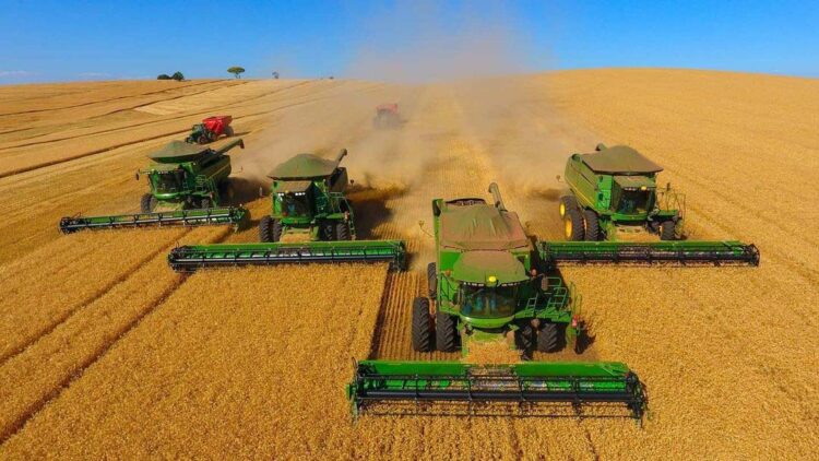 Estimativa indica que safra de grãos  deve ficar em 313 milhões de toneladas