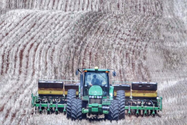 Plantio de soja volta à normalidade;  safra deve alcançar 21 milhões de toneladas