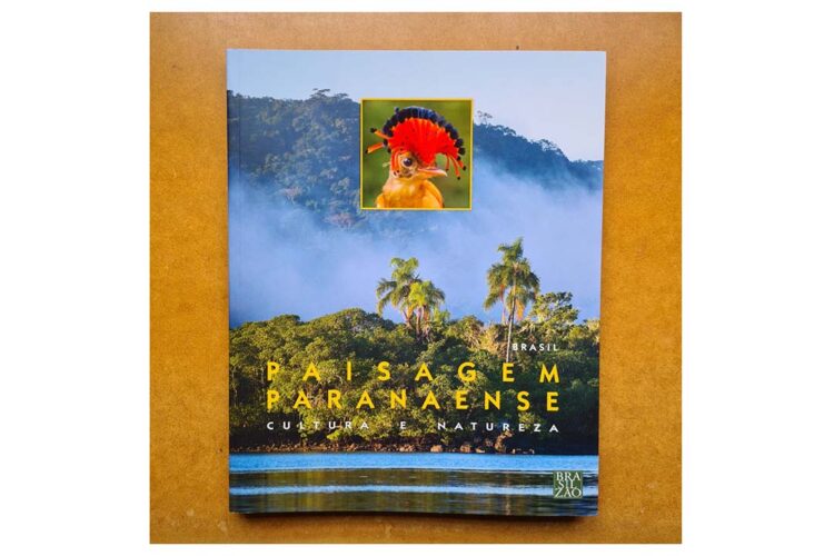 Livro sobre a natureza vira ferramenta de ensino na rede estadual do Paraná