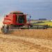 Setor agropecuário do Paraná alcançou os maiores patamares da história nos últimos anos