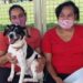 Mais de 2 mil cães e gatos serão atendidos pelo CastraPet Paraná nesta semana