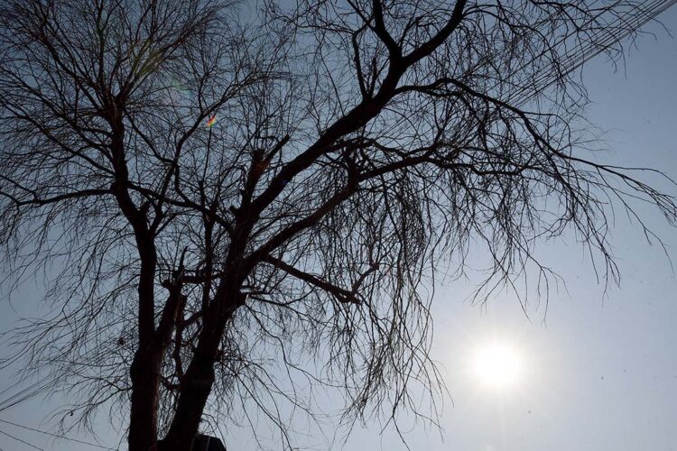 Instabilidade retorna a Paranavaí e pode chover no fim de semana