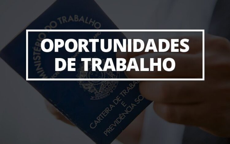 Agência do Trabalhador de Paranavaí oferece 116 vagas de emprego