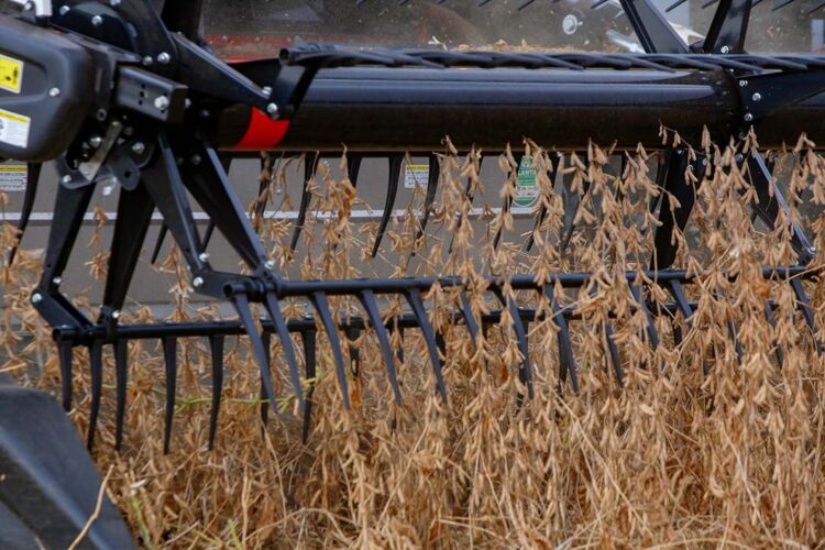 Exportações crescem com avanço  do agro; indústria perde espaço