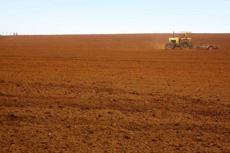 Paraná tem a melhor classificação do Brasil em  potencialidade agrícola, segundo estudo do IBGE