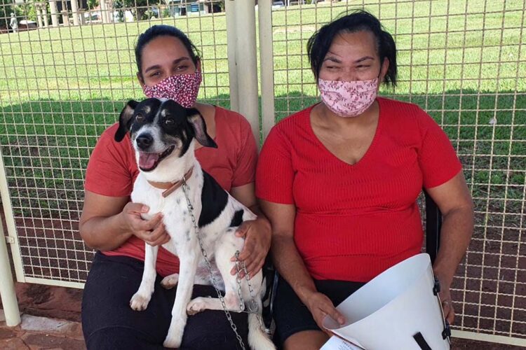 Estado atende cerca de 37 mil animais domésticos e silvestres em 2022