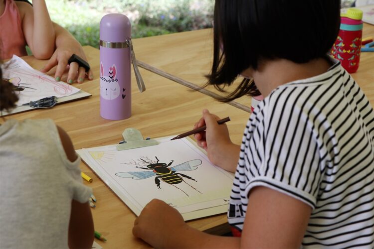 Museu Paranaense oferece programação gratuita de férias para crianças e adolescentes