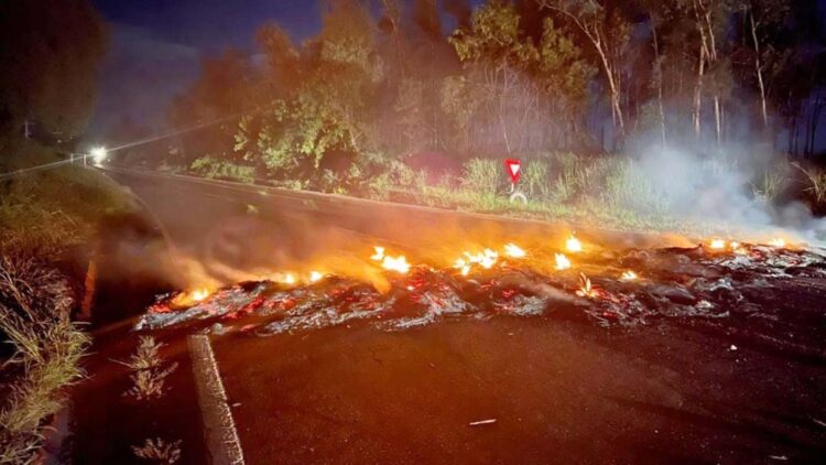 Manifestantes queimam pneus na BR-376  e causam incêndio ambiental