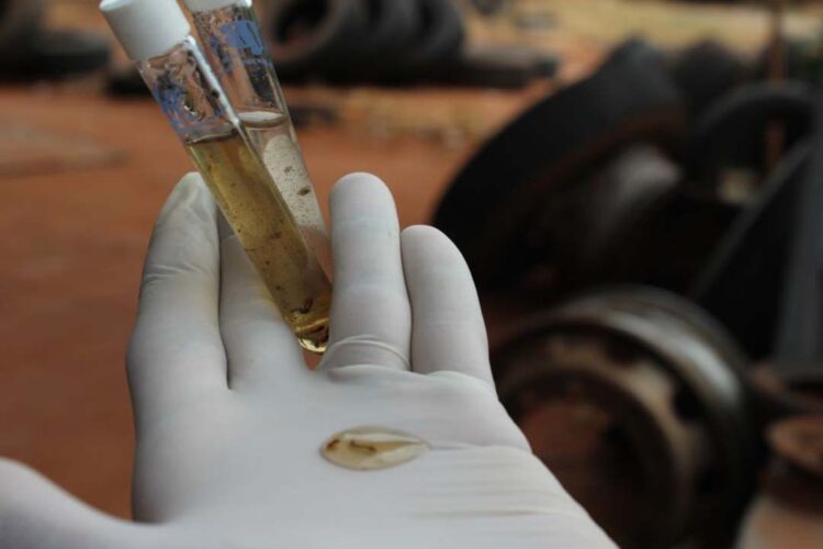 Primeiro LIRA do ano tem índice de 4,5 e alto risco de infestação do mosquito da dengue