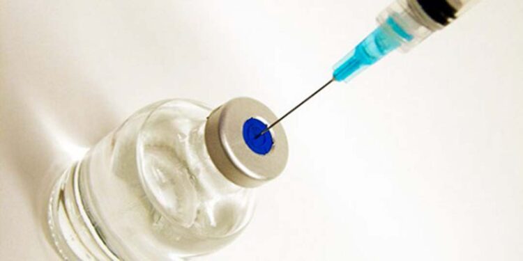 Vacina contra dengue está em análise pela Anvisa